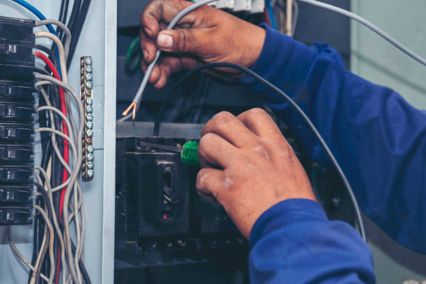 Best Electric Panel Repair  in Lake Sherwood, CA